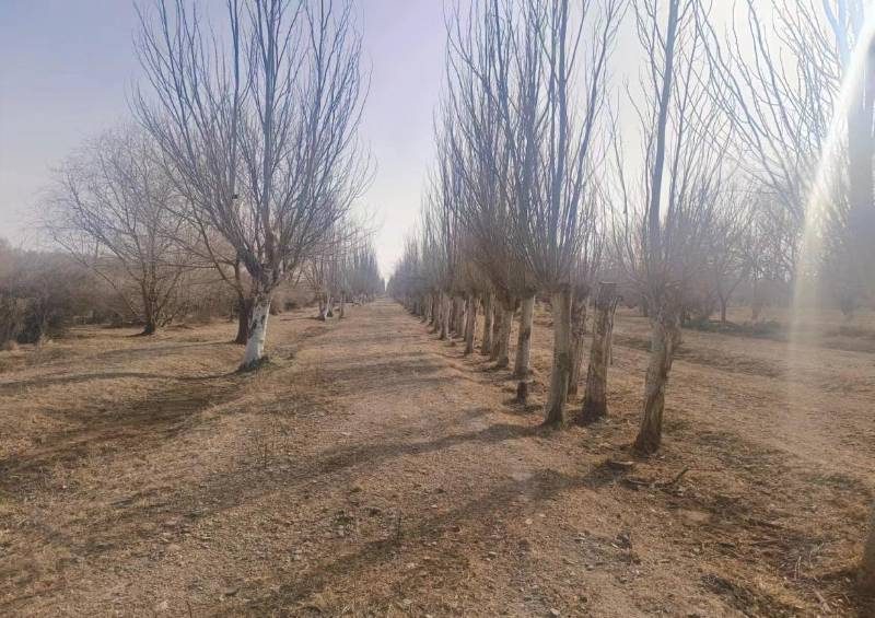 1772607037581223.jpeg 555.jpeg