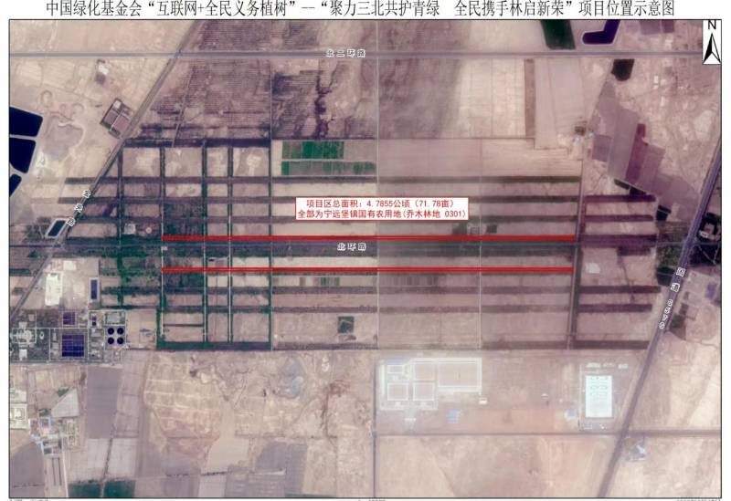 1772607040522010.jpeg 666.jpeg