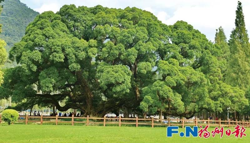 1773030694246617.jpg 1.jpg