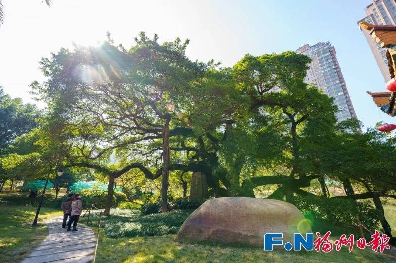 1773030723687309.jpg 2.jpg