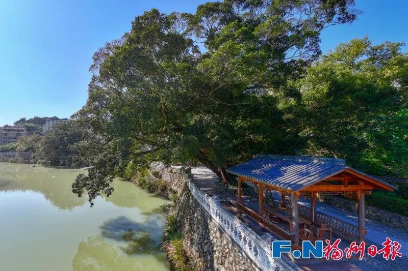 1773030744287045.jpg 3.jpg