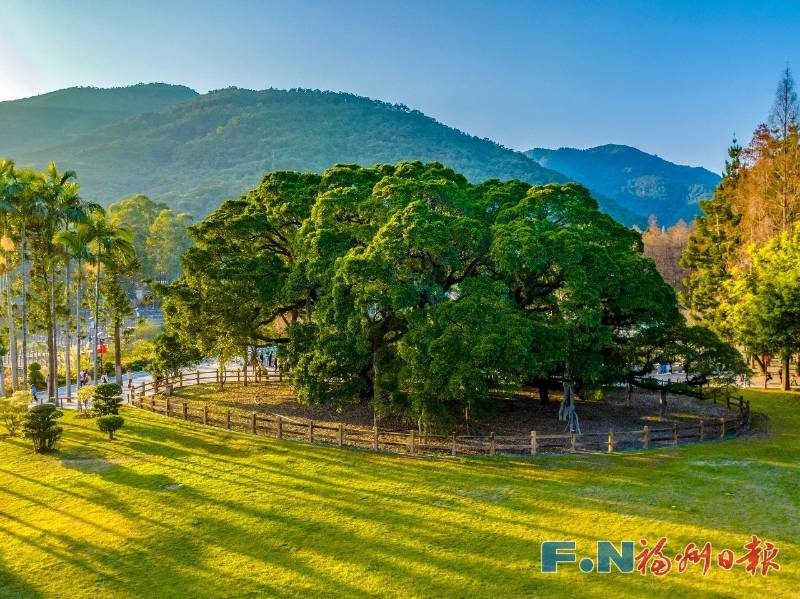 1773030765120461.jpg 4.jpg