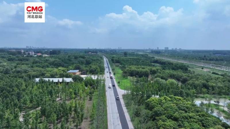 1774243791484783.jpg 44.jpg