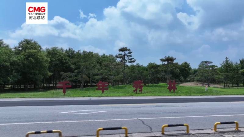 1774243799405627.jpg 43.jpg