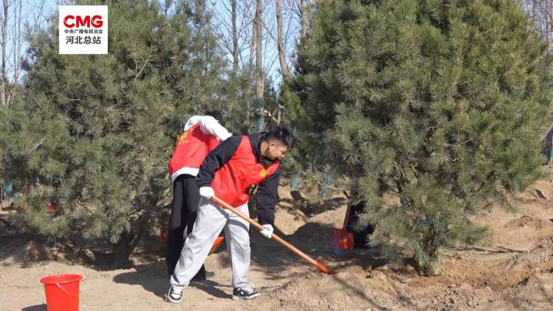 1774243809262313.jpg 42.jpg