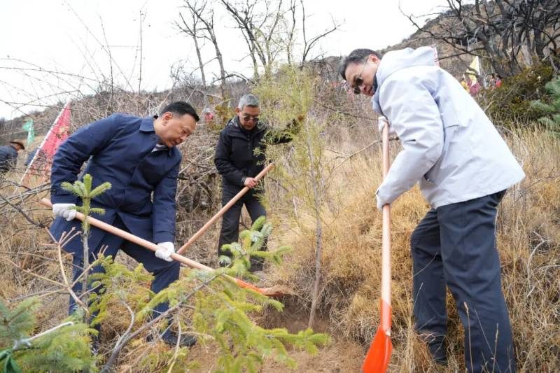 1774416215236232.jpg 6 (1).jpg