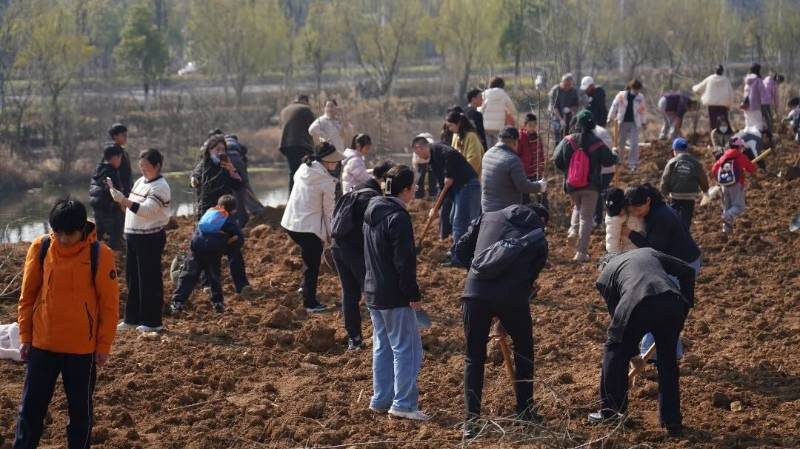 1774416475290092.jpg 3 (1).jpg