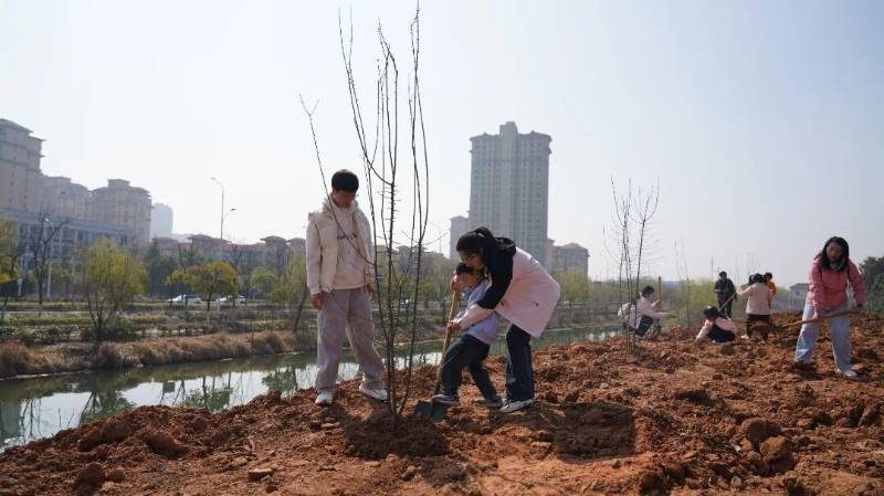 1774416484823161.jpg 2 (1).jpg