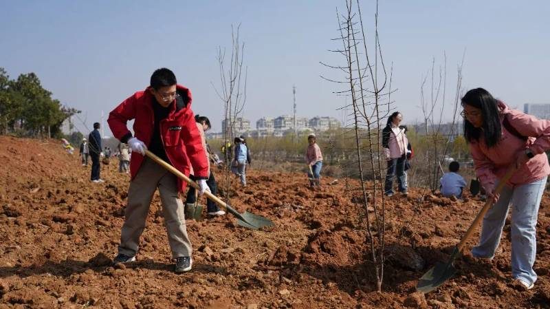 1774416492799947.jpg 1 (1).jpg