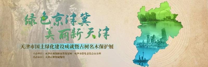 1774417491304268.jpg 8.jpg