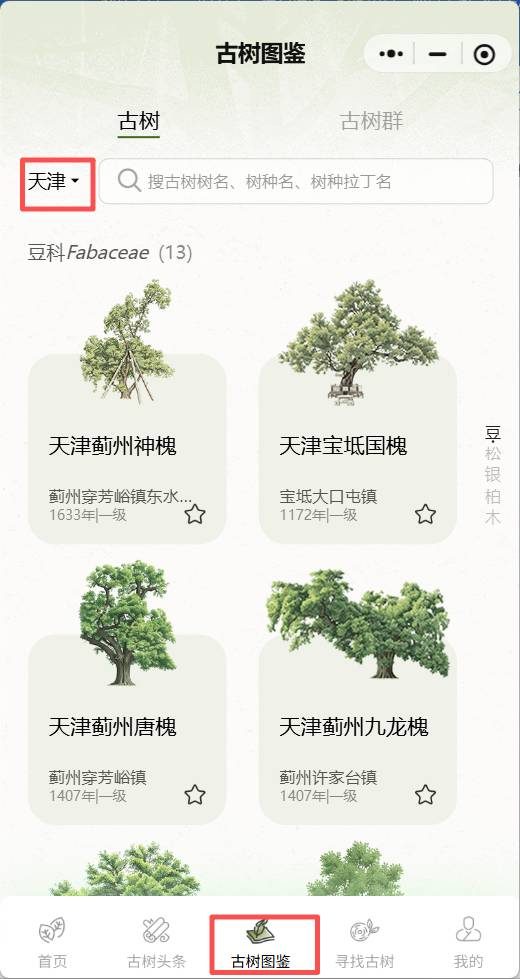 1774417513343867.jpg 1774417513343867.jpg