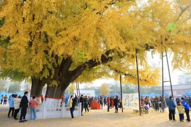 1774417528323568.jpg 6.jpg