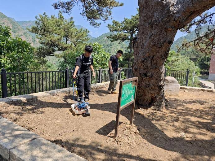 1774417624935856.jpg 1774417624935856.jpg