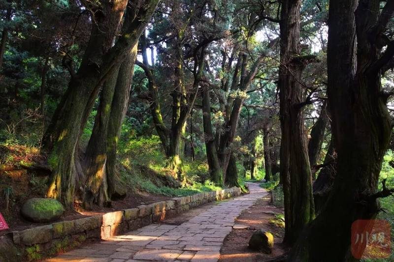 1774841446845496.jpg 2 (1).jpg