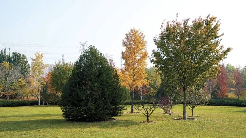 1775011170889942.jpg 1 (1).jpg