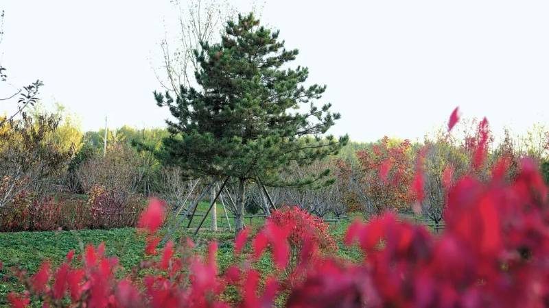 1775011193828423.jpg 2 (1).jpg