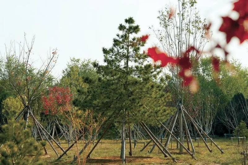 1775011209528696.jpg 3 (1).jpg