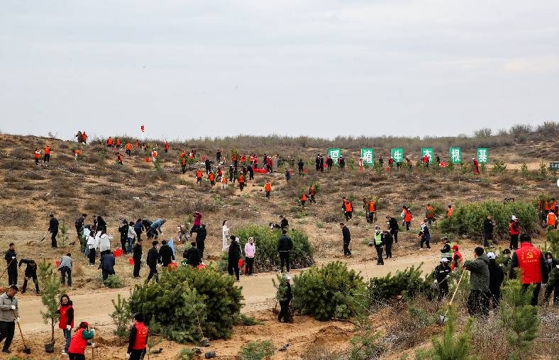 1775716871193241.jpg 1 (1).jpg