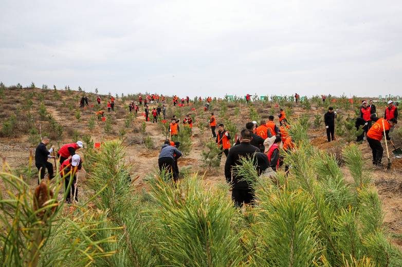 1775716893283788.jpg 2 (1).jpg