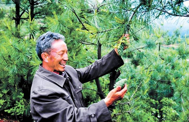 1775806962695418.jpg 5.jpg