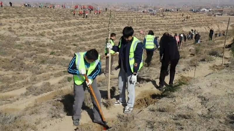 1775808719905395.jpg 4.jpg