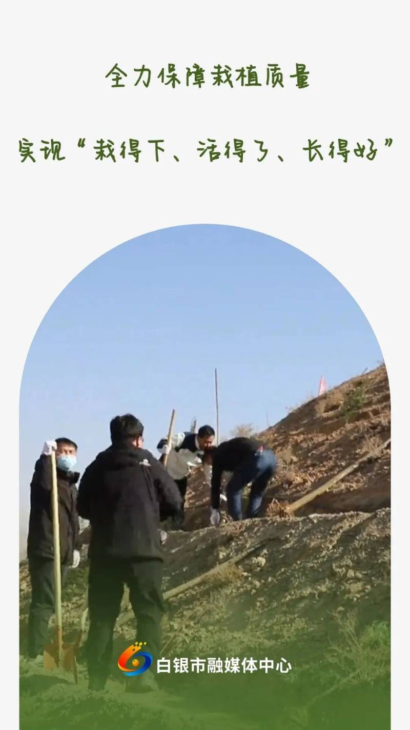 1775808728111779.jpg 5.jpg