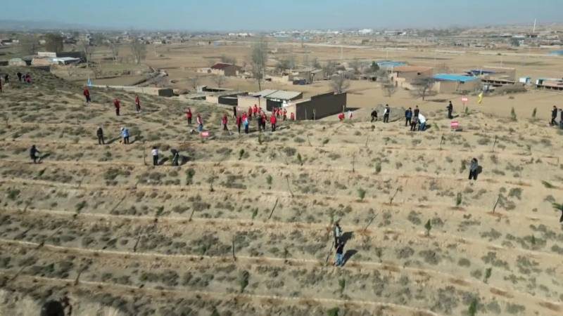 1775808735465318.jpg 6.jpg