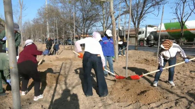 1775808742344236.jpg 7.jpg