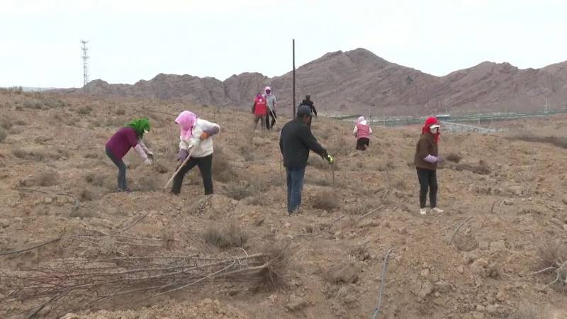 1775808757611361.jpg 9.jpg