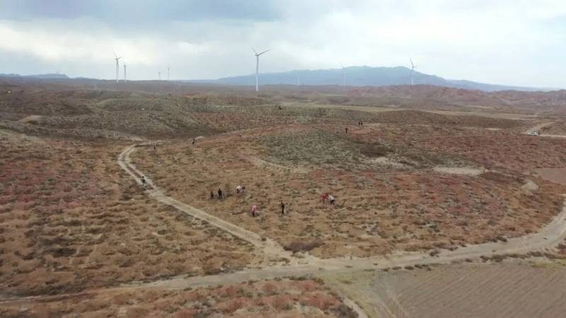 1775808766497259.jpg 10.jpg