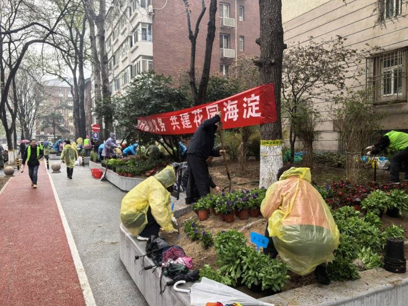 1775809306954293.jpg 22.jpg