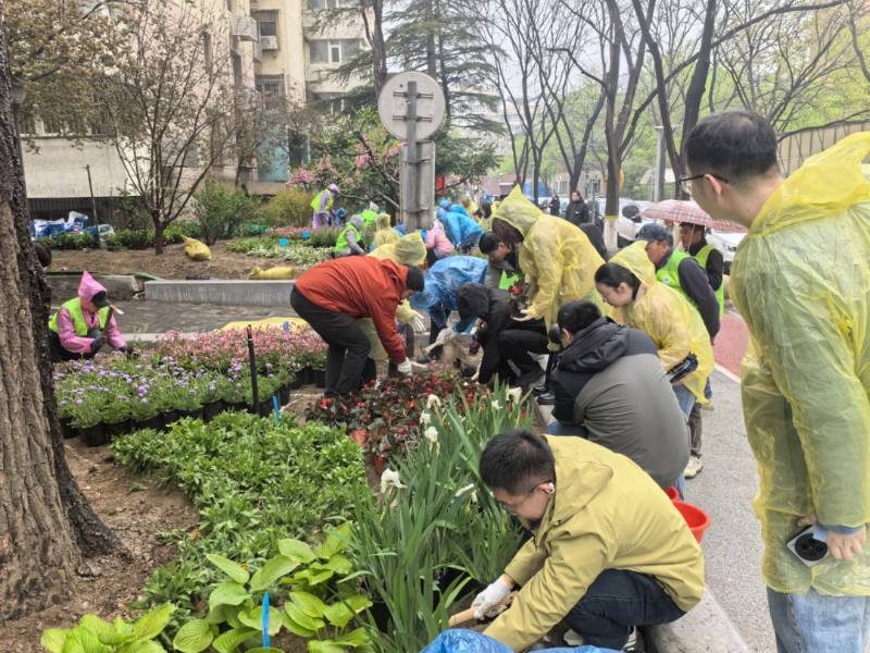 1775809315910822.jpg 24.jpg