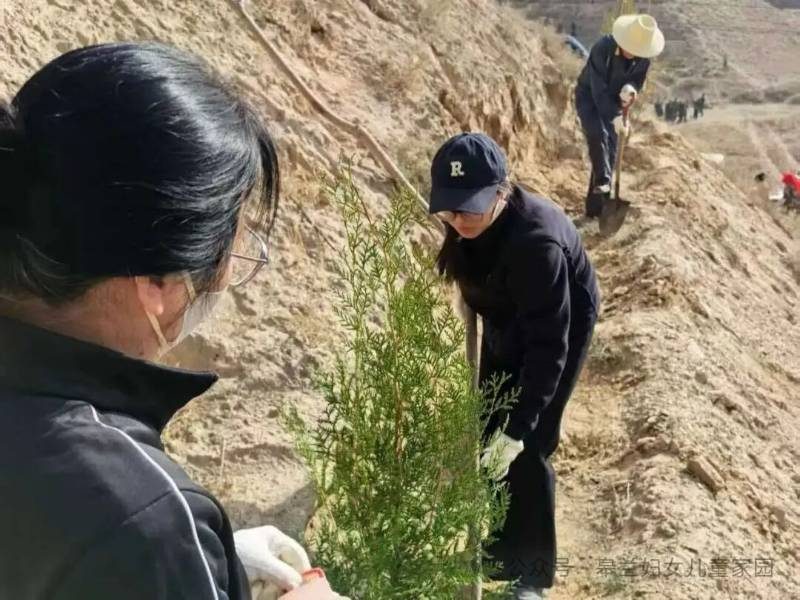 1776144197215063.jpg 10.jpg