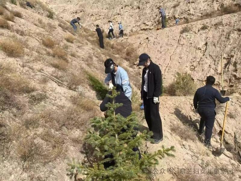 1776144260712416.jpg 11.jpg