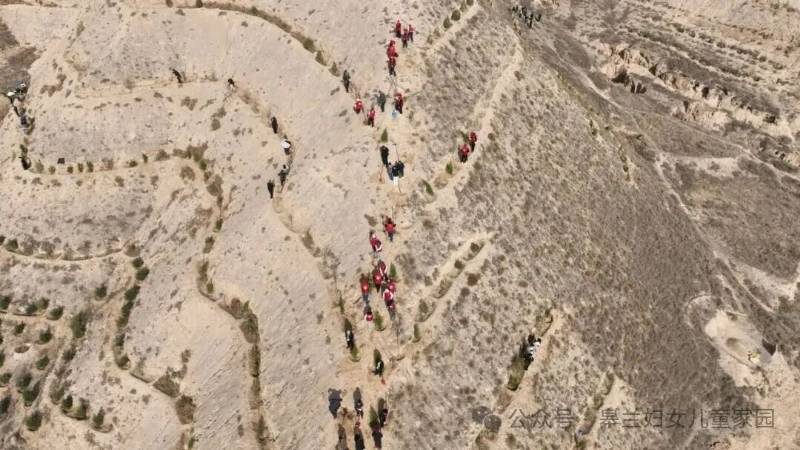 1776144263926144.jpg 12.jpg