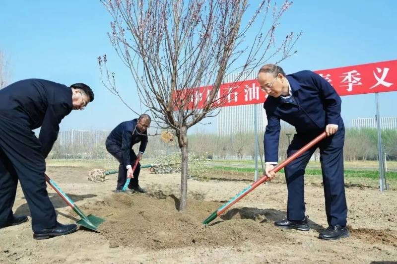 1776145045198125.jpg 20.jpg