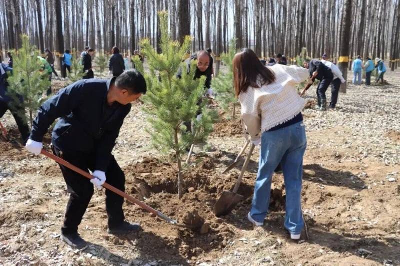 1776145826753379.jpg 26.jpg