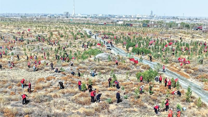 1776219030867916.jpg 1.jpg