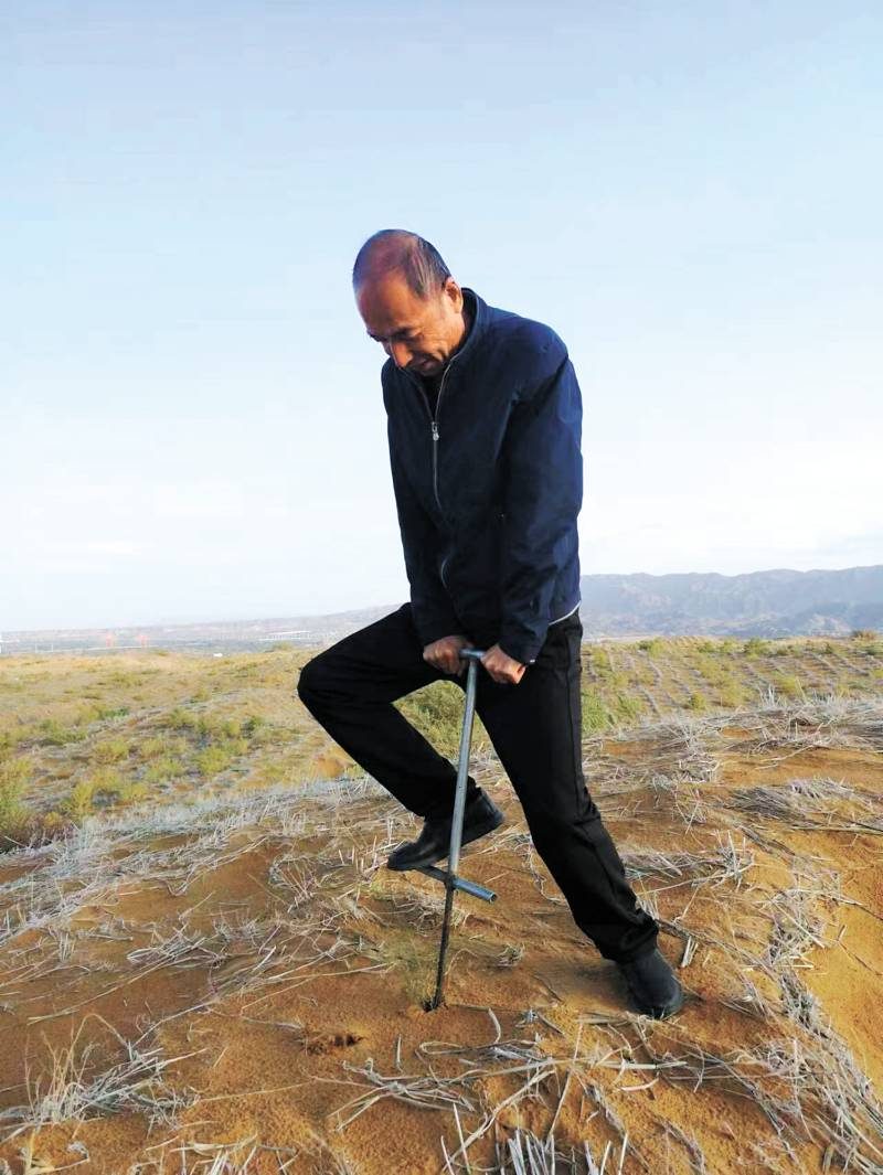 1776219148905361.jpg 8.jpg