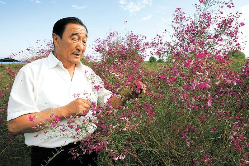 1776219159702954.jpg 7.jpg