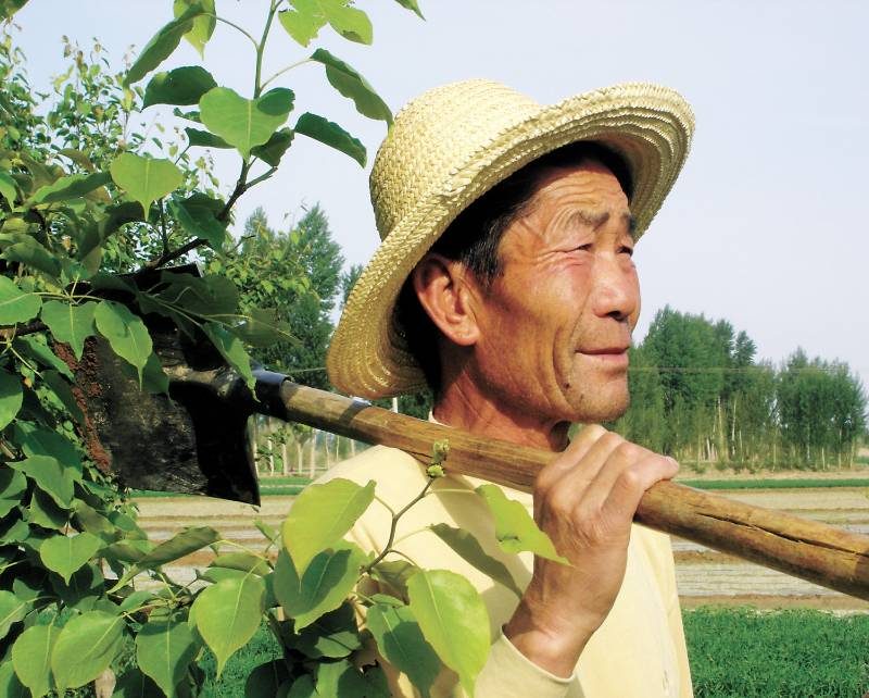 1776219192393034.jpg 4.jpg