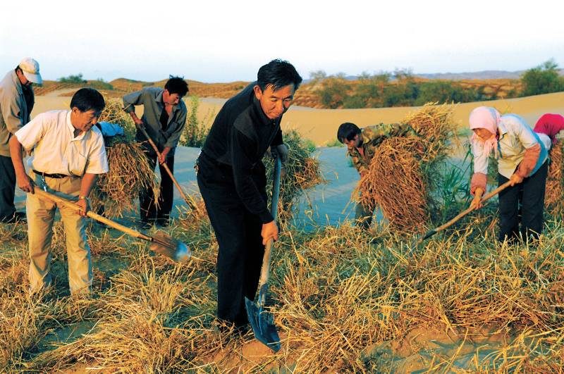 1776219216898996.jpg 2.jpg