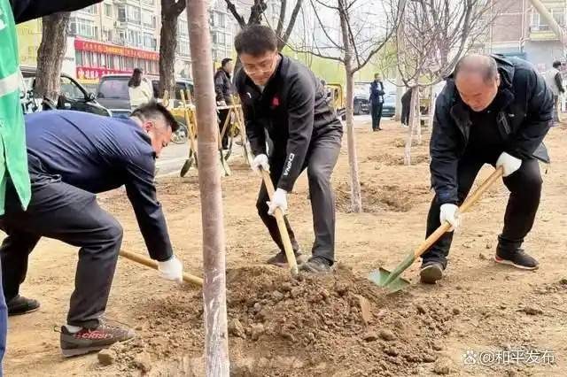 1776220316559715.jpg 6.jpg