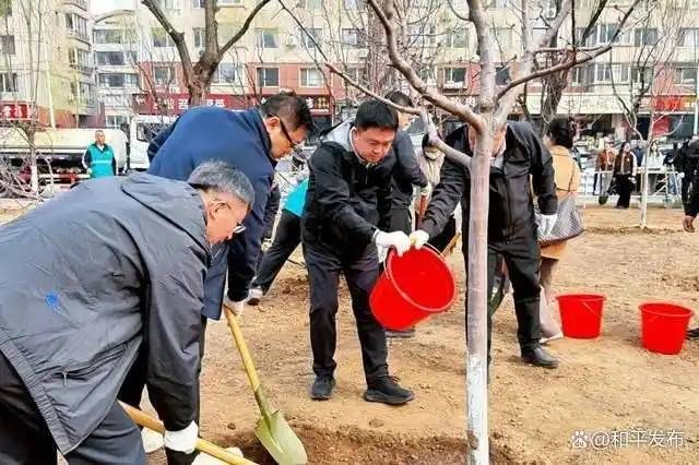 1776220327721942.jpg 7.jpg