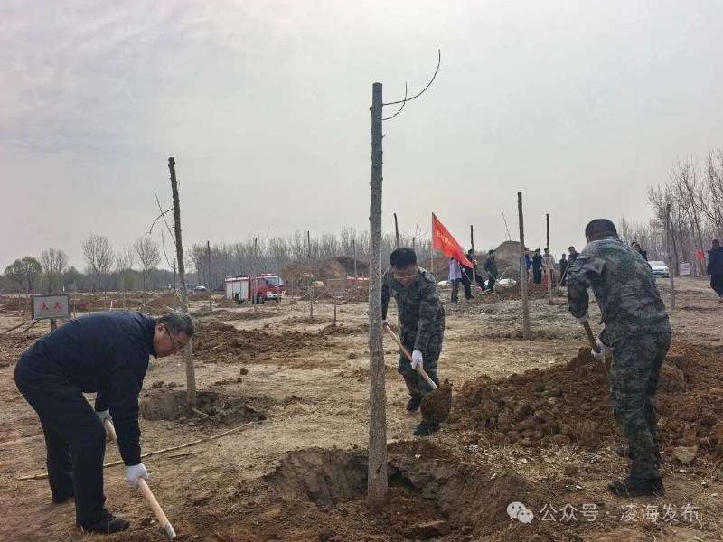 1776223862242640.jpg 15.jpg