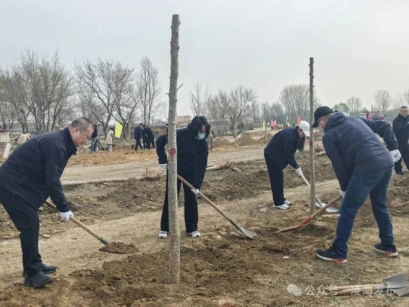 1776223875133621.jpg 19.jpg