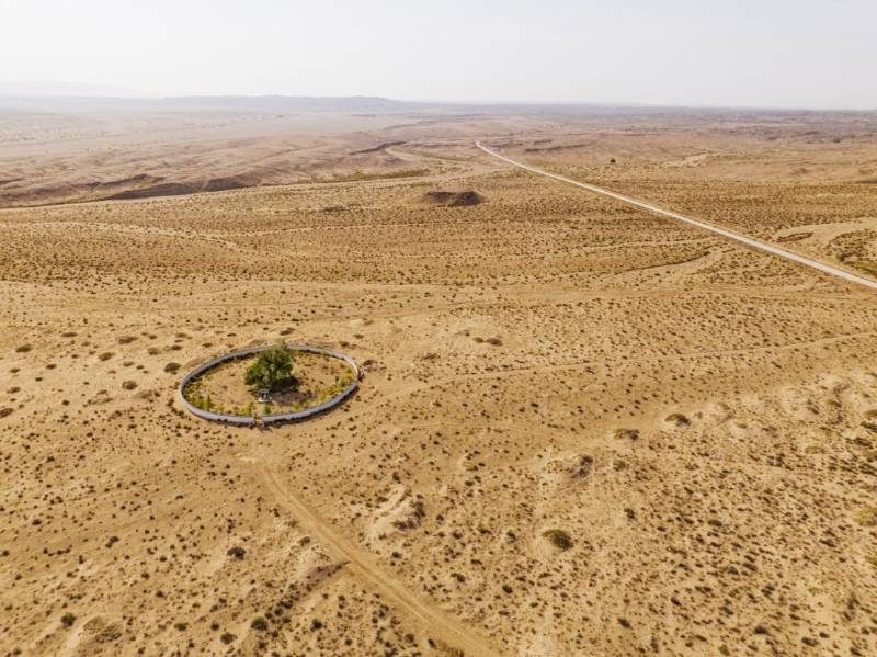 1776229540701914.jpg 32.jpg