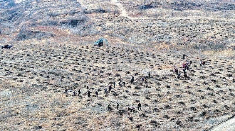 1776305683697038.jpg 7.jpg