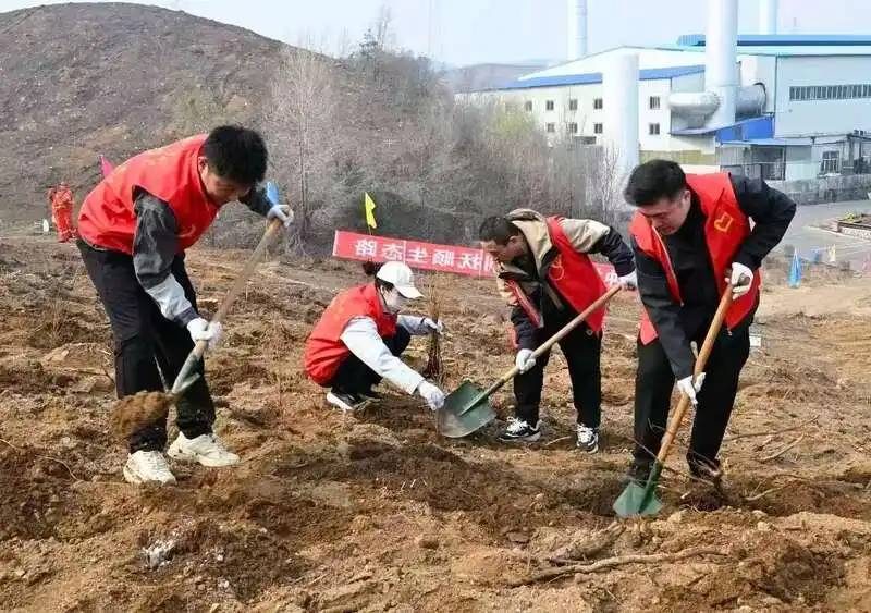 1776306150677394.jpg 1 (1).jpg