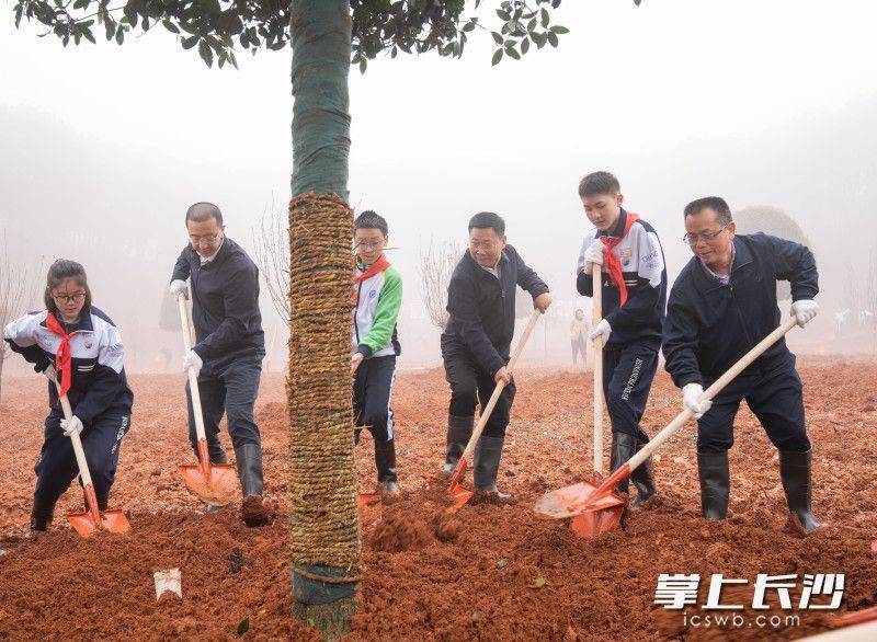 1776306902592526.jpg 6 (1).jpg